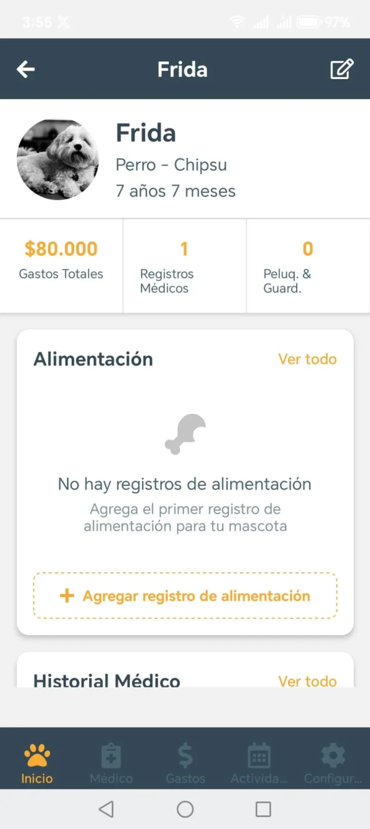 Perfil de mascota